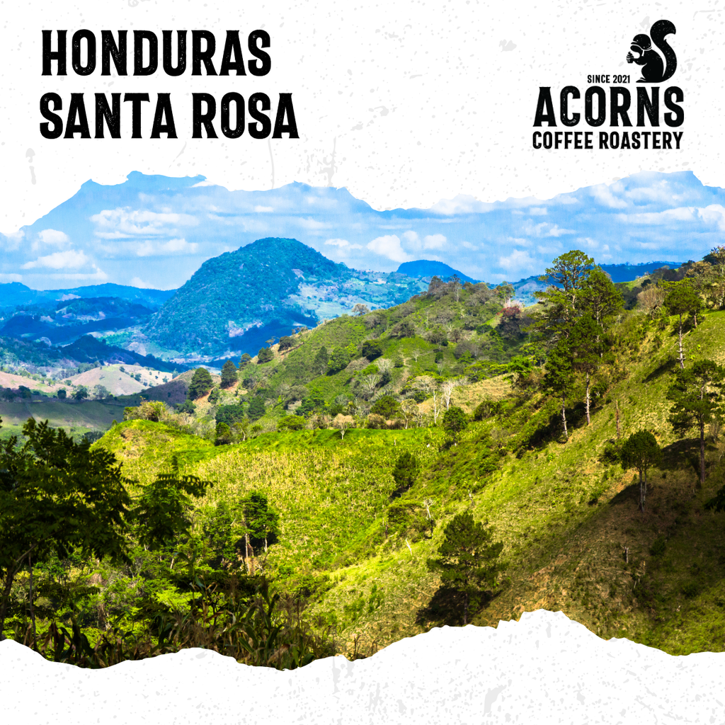 Honduras Santa Rosa Medium Roast